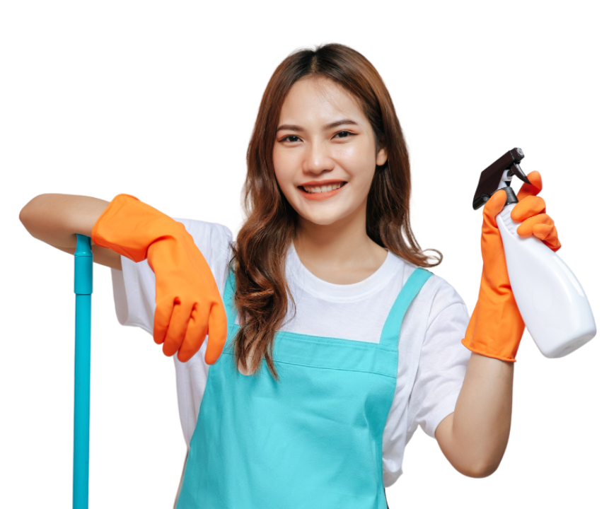 Professional maid service